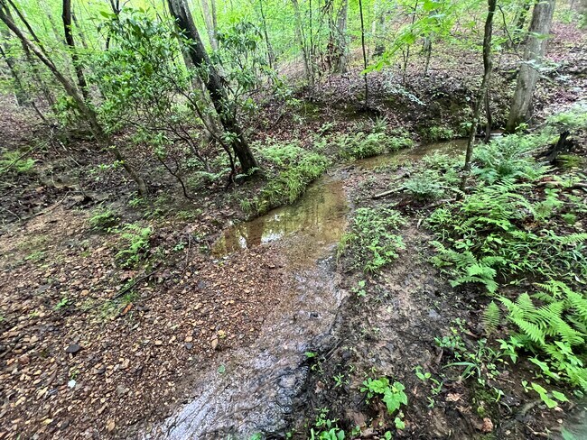 Plus de détails pour 395 Able rd, Waleska, GA - Terrain à vendre