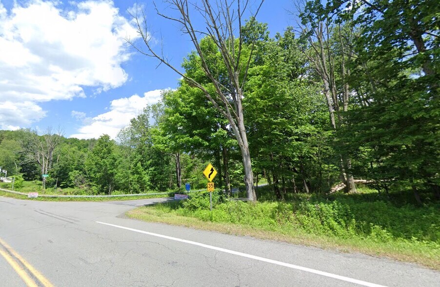 Bridgeville Rd & Edwards rd, Monticello, NY à vendre - Photo du bâtiment - Image 3 de 7