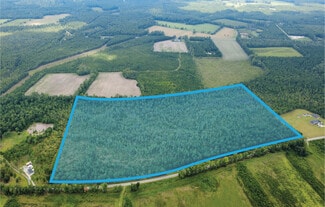 More details for 0 Cane Branch Rd, Walterboro, SC - Land for Sale
