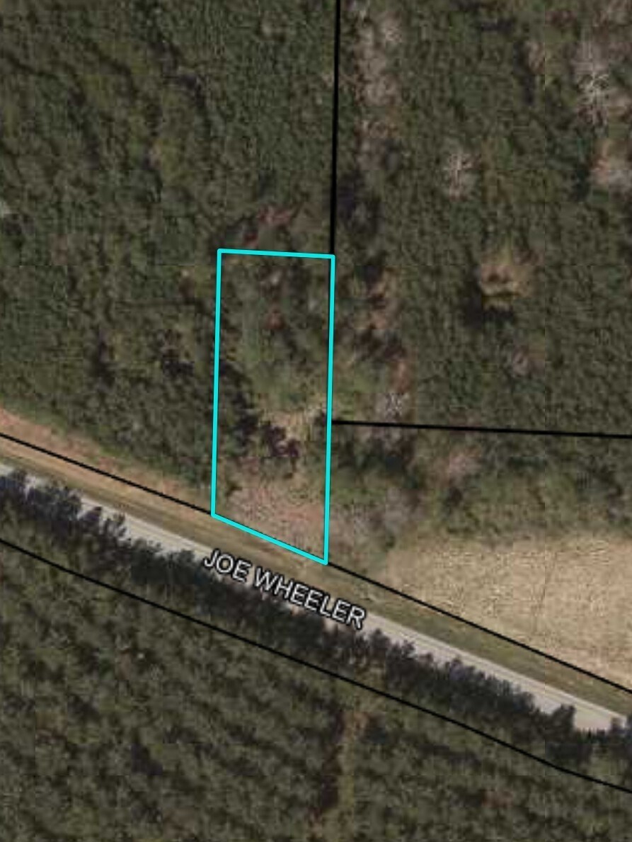 0 Highway 278 Hwy, Cedartown, GA à vendre Aérien- Image 1 de 2