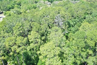 Plus de détails pour 638 Walnut St, Welaka, FL - Terrain à vendre