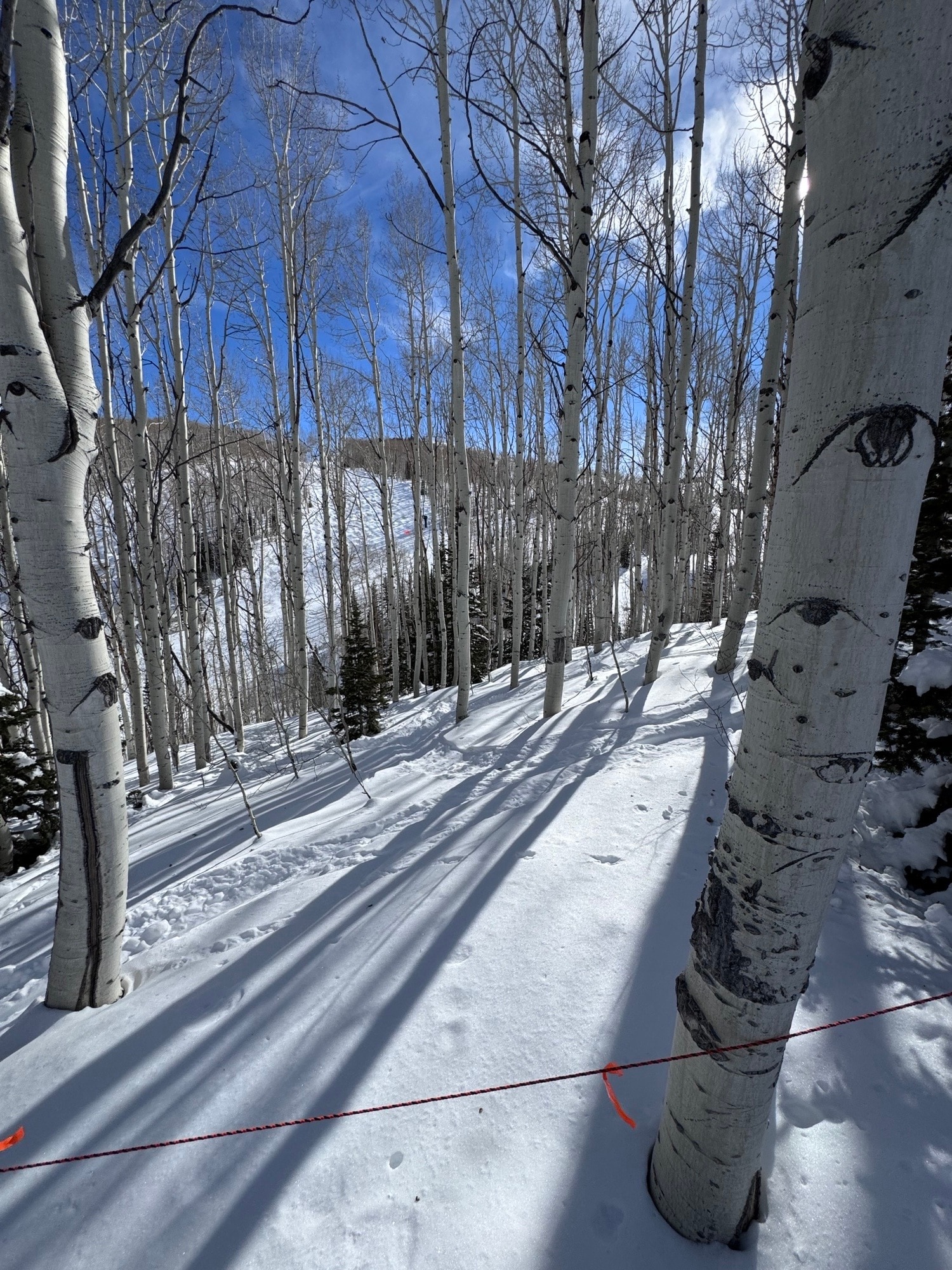 Parcels Logan lot 724 - U.P. No.2 lot 724, Park City, UT for sale Primary Photo- Image 1 of 12