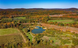 More details for 225 Route 22, Pawling, NY - Land for Sale