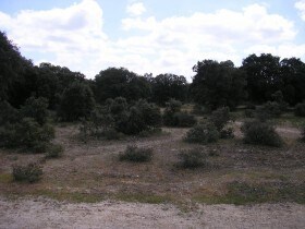 More details for Land for Sale