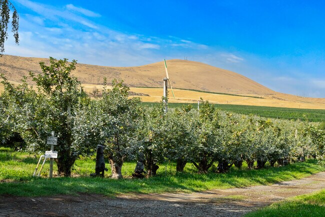 More details for NKA Desmarais rd, Moxee, WA - Land for Sale