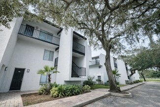 Plus de détails pour 13009 Kain Palms Ct, Tampa, FL - Multi-résidentiel à vendre