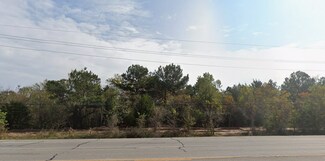 Plus de détails pour 0 FM 2920 (Waller Tomball Road) Rd, Tomball, TX - Terrain à vendre