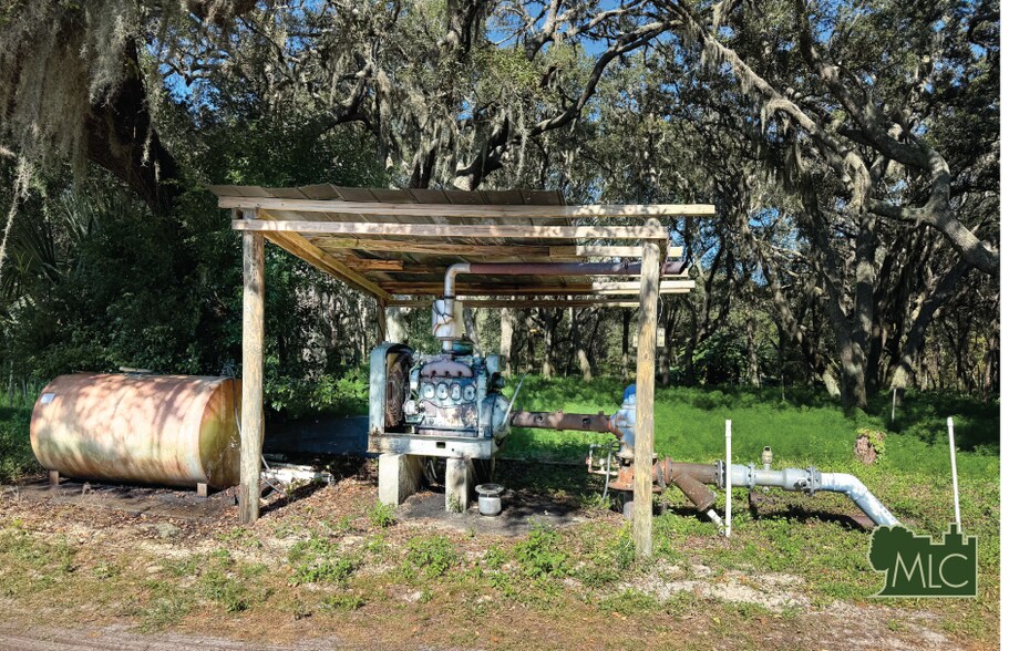 701-735 Shaw Lake Road, Pierson, FL à vendre - Photo du bâtiment - Image 3 de 4