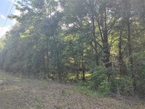 0 County Road 83, Jones, AL à vendre - Aérien - Image 3 de 4