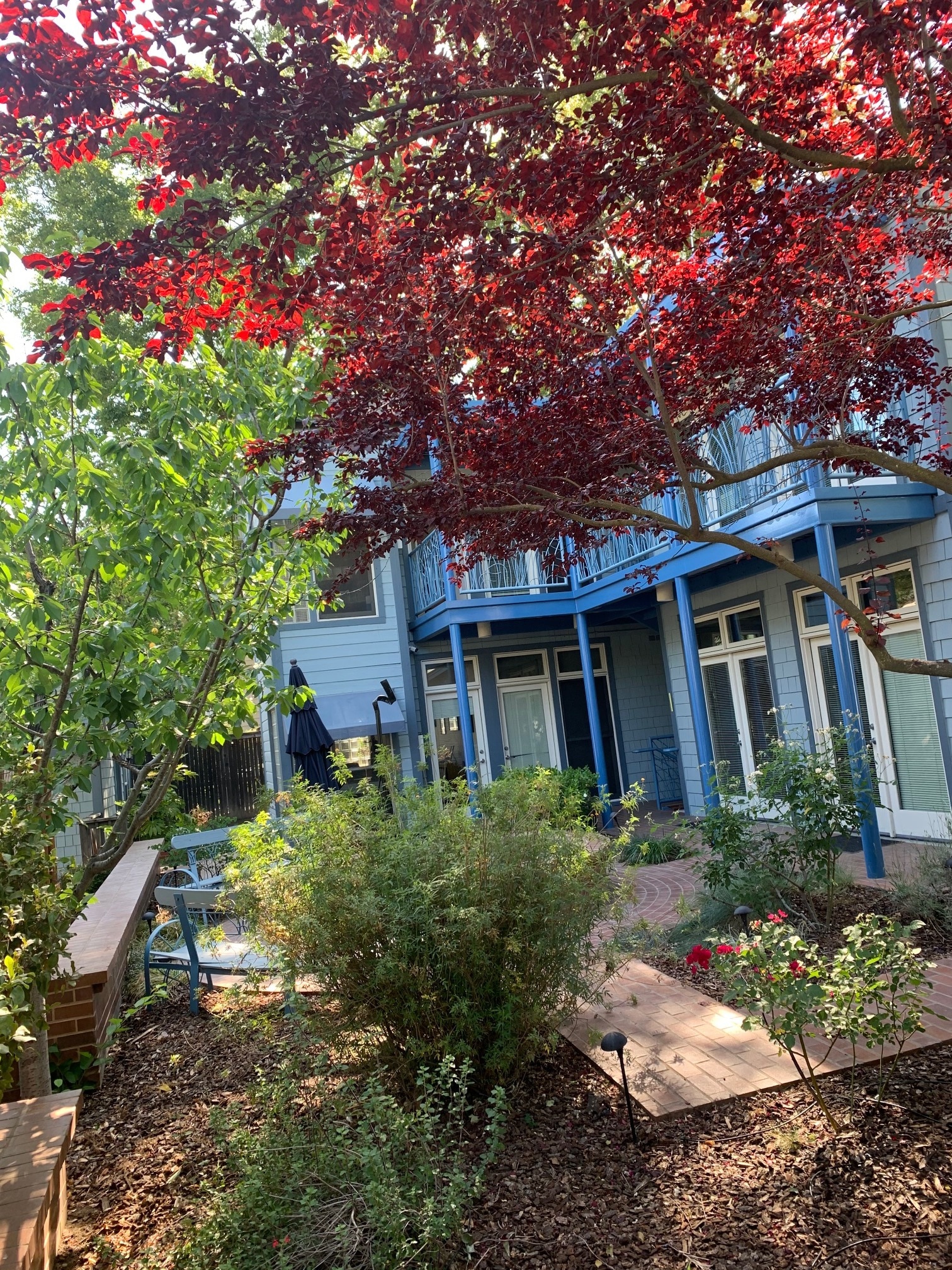 430-432 D St, Davis, CA for lease Building Photo- Image 1 of 7