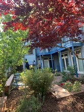430-432 D St, Davis, CA for lease Building Photo- Image 1 of 7