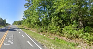 Plus de détails pour County Road 218, Middleburg, FL - Terrain à vendre