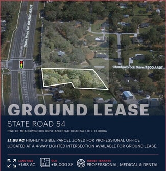 More details for 2449 Meadowbrook Dr, Lutz, FL - Land for Lease