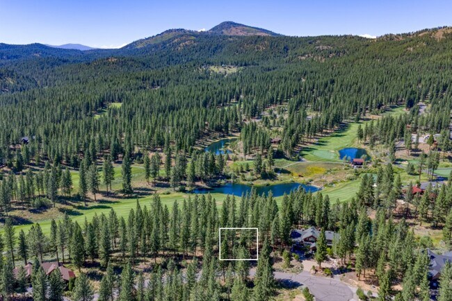 Plus de détails pour 241 Fox Sparrow, Portola, CA - Terrain à vendre