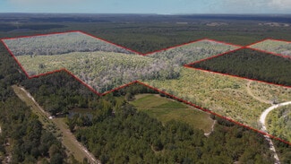 More details for TBD NE 36th Drive Dr, Jasper, FL - Land for Sale