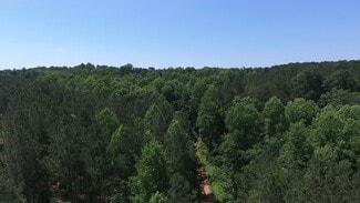 Plus de détails pour Coon Creek Rd, Alto, GA - Terrain à vendre