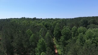 Plus de détails pour Coon Creek Rd, Alto, GA - Terrain à vendre