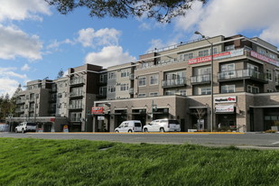 Capri Apartments - Commercial Real Estate