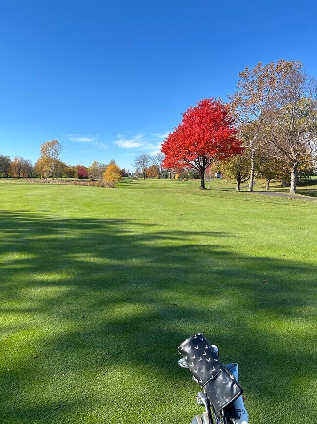 Plus de détails pour 5324 Rogers Rd, Hamburg, NY - Sports et divertissement à vendre