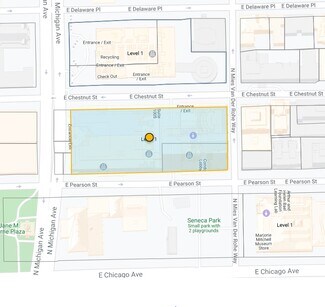 Plus de détails pour 845 N Michigan Ave, Chicago, IL - Commerce de détail à louer