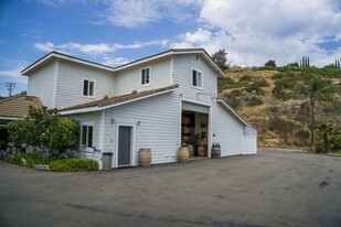 Sunshine Mountain Winery and Vineyard - Vignoble