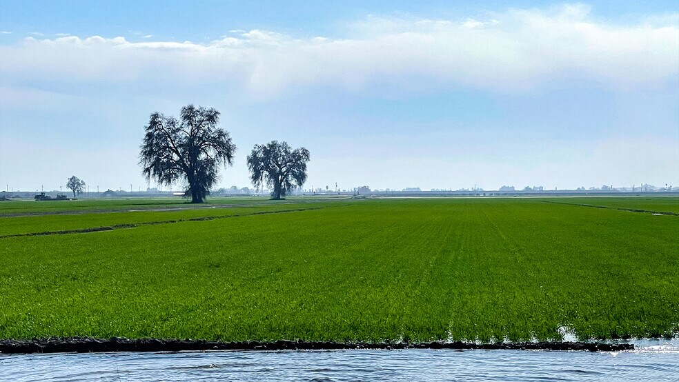 W. of I-5 N. of Copus Rd., Bakersfield, CA à vendre - Photo principale - Image 1 de 4