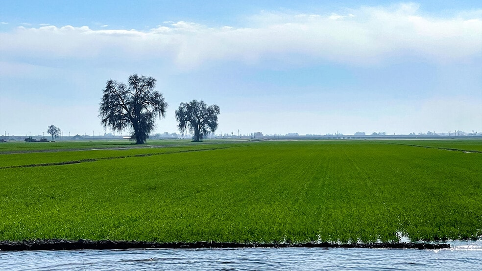 W. of I-5 N. of Copus Rd., Bakersfield, CA for sale - Primary Photo - Image 1 of 4