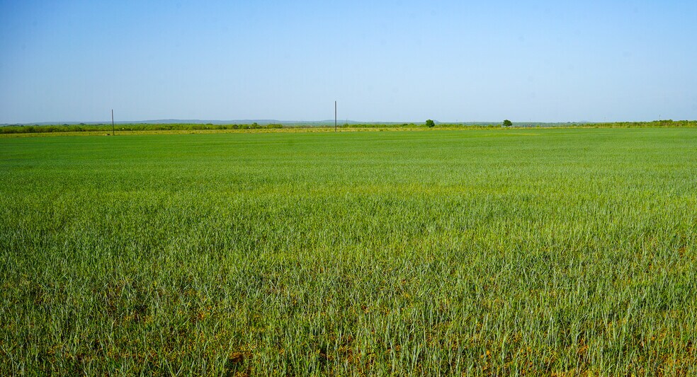 723 FM 2926, Baird, TX à vendre - Photo du bâtiment - Image 3 de 44