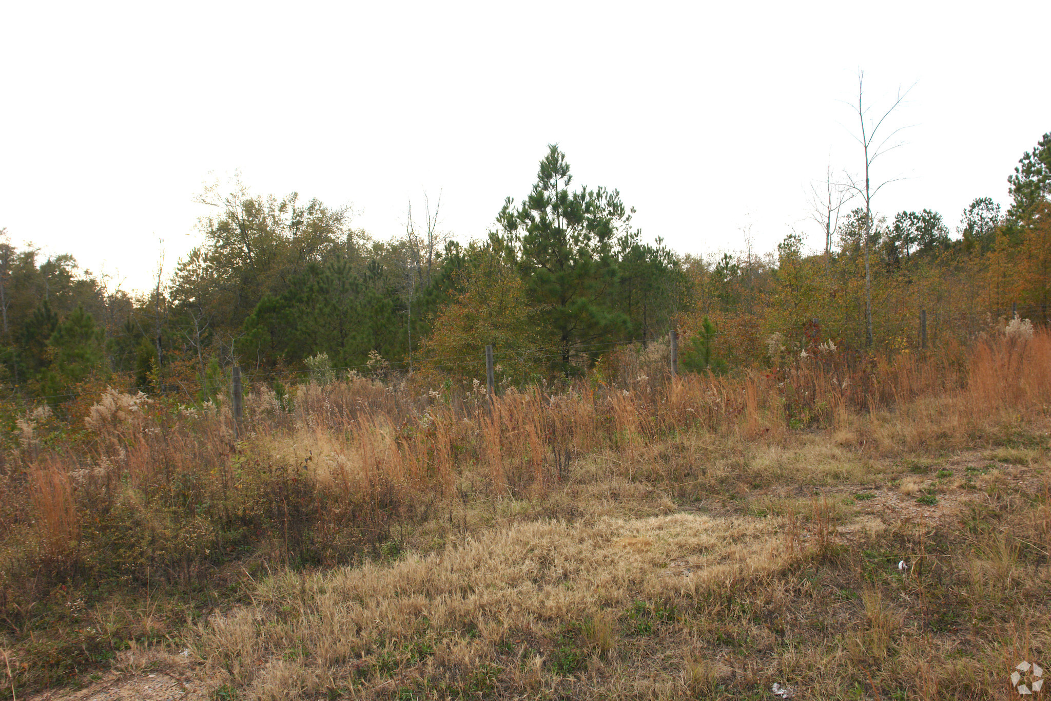 Rudy Mason Pky, Aiken, SC for sale Primary Photo- Image 1 of 1