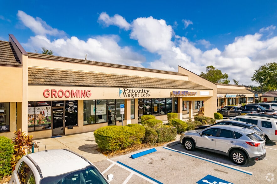 31918 US Highway 19 N, Palm Harbor, FL for lease - Primary Photo - Image 3 of 28