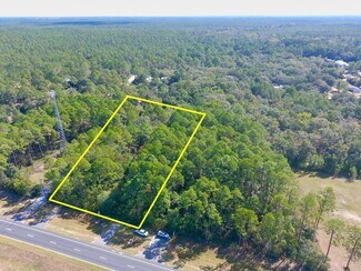 More details for 16913 US Highway 331 S, Freeport, FL - Land for Sale