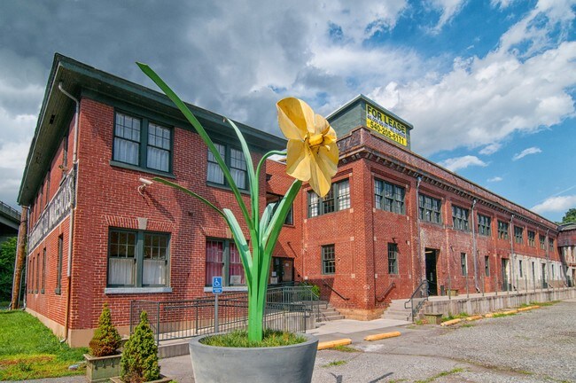 Plus de détails pour 315 Albemarle Ave SE, Roanoke, VA - Bureau à vendre