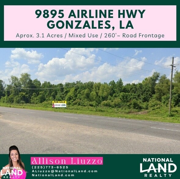 9895 Airline hwy, Gonzales, LA for sale - Aerial - Image 2 of 4
