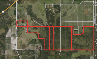 Plus de détails pour 655 Parnell Rd, Zolfo Springs, FL - Terrain à vendre