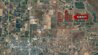 More details for Off Piedmont & Hill Rds., Corning, CA - Land for Sale