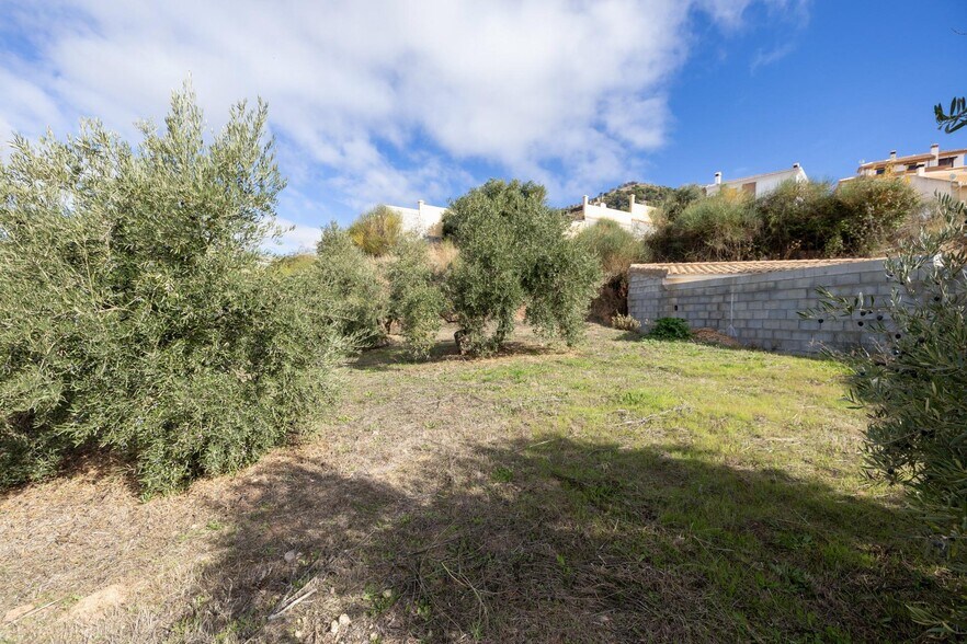 Terrain dans Nívar, Granada à vendre - Photo du bâtiment - Image 1 de 26