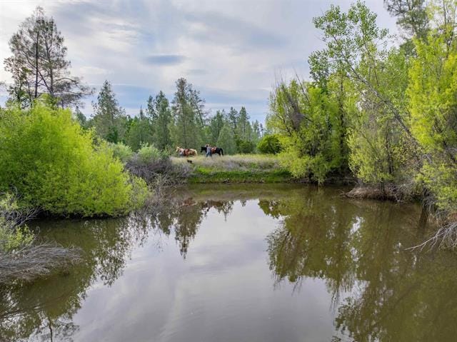 14015 Hwy 36 W, Cottonwood, CA for sale - Building Photo - Image 2 of 16