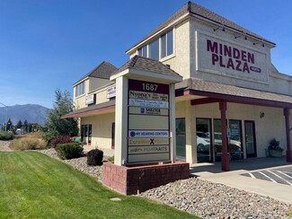 Plus de détails pour 1687 Highway 395, Minden, NV - Local commercial à louer