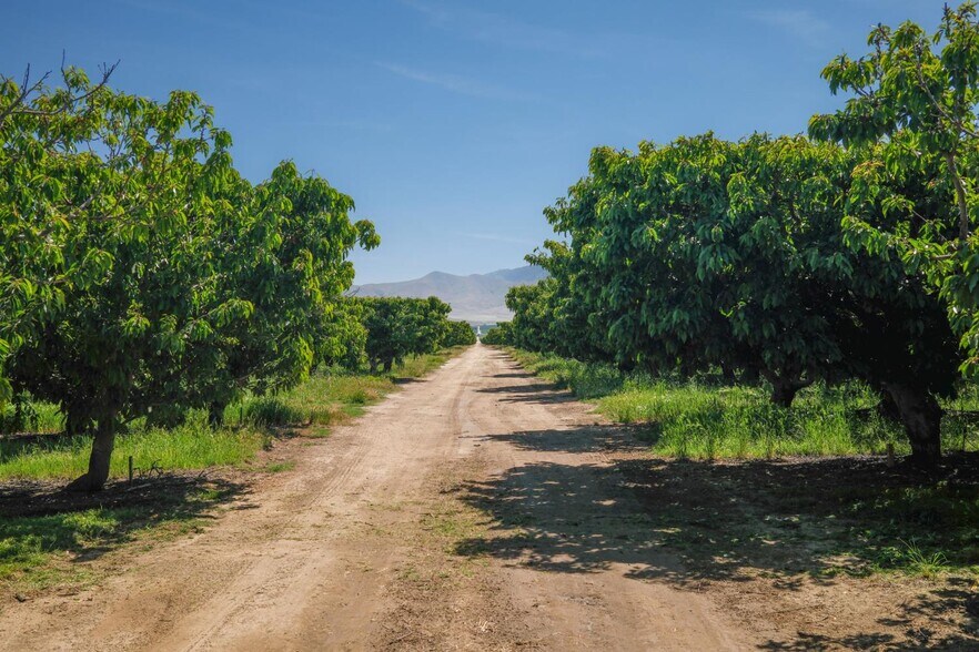 0 Rock Pile Road, Arvin, CA à vendre - Photo du bâtiment - Image 2 de 20