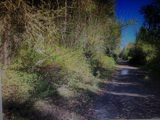 Plus de détails pour 20821 Meridian Ave E, Graham, WA - Terrain à vendre