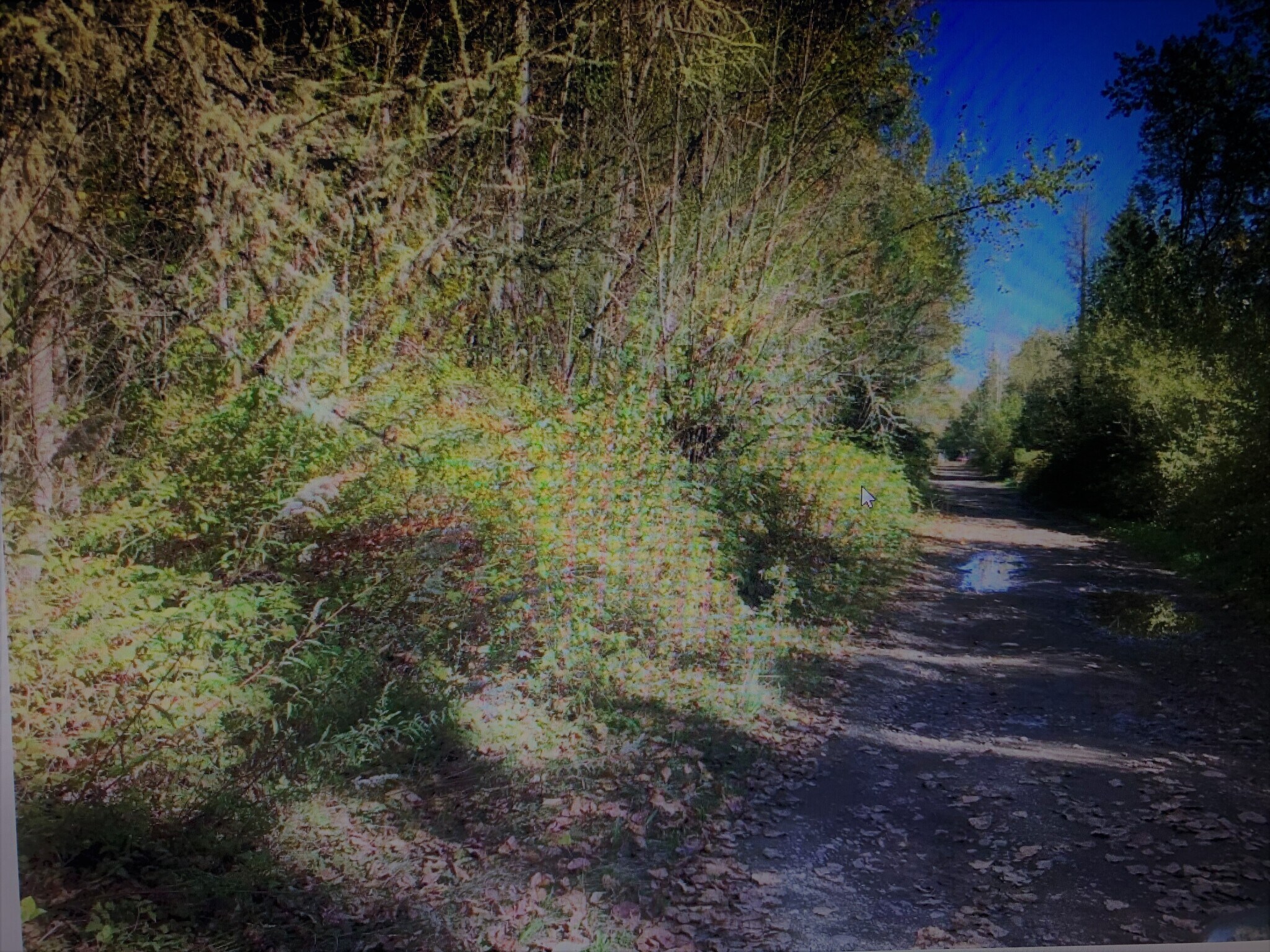 20821 Meridian Ave E, Graham, WA for sale Other- Image 1 of 3