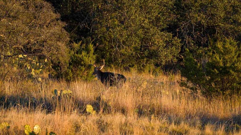 917 Bear Springs rd, Mason, TX à vendre - Photo du bâtiment - Image 2 de 38