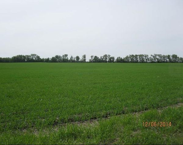 East Railway Dr, Smoky Lake, AB for sale Other- Image 1 of 1