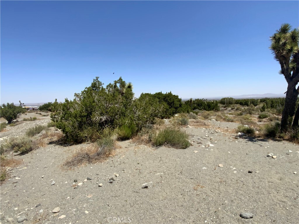 2975 Yucca Terrace Dr, Pinon Hills, CA à vendre Photo principale- Image 1 de 2