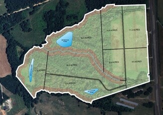 Plus de détails pour 3800 Athens Hwy, Talmo, GA - Industriel à louer