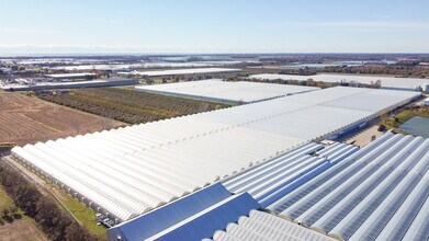 1506, 1508 1526 County Rd, Kingsville, ON - AÉRIEN Vue de la carte - Image1