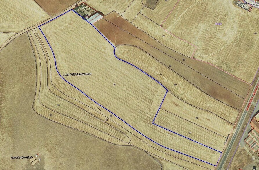 Land in Aldeatejada, Salamanca for lease - Building Photo - Image 2 of 3