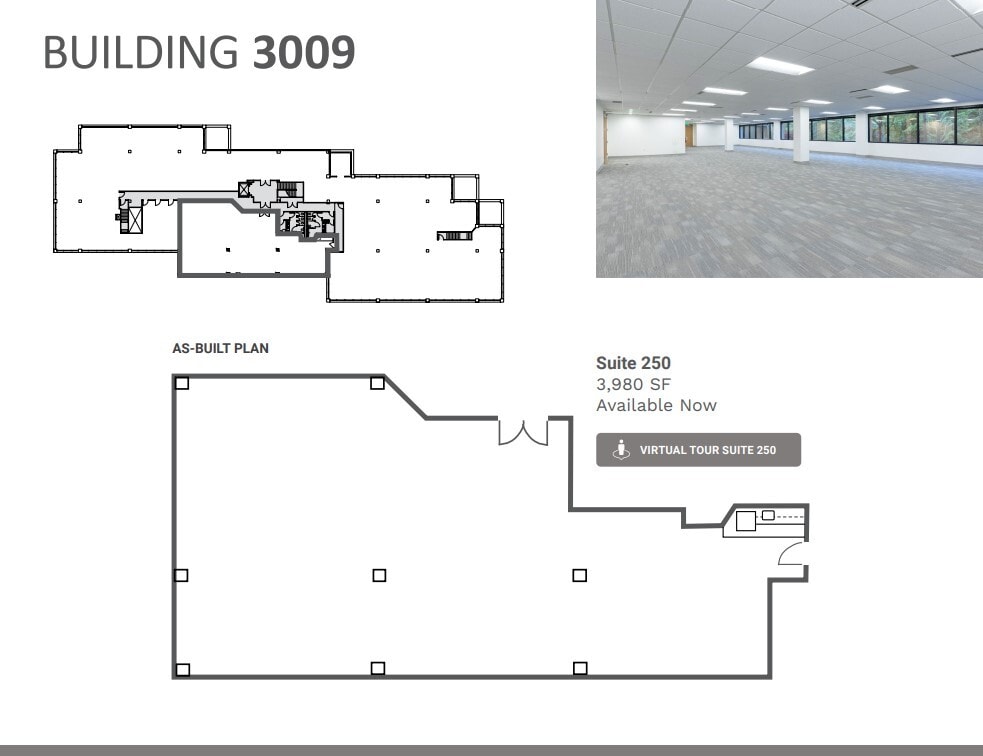 3009 112th Ave NE, Bellevue, WA à louer Plan d’étage- Image 1 de 1