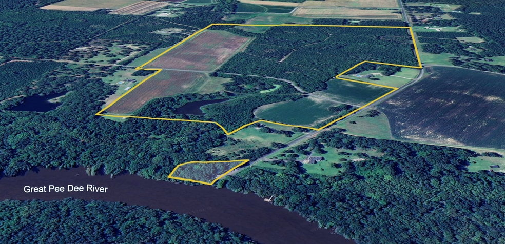 1298 Ports Hill Dr, Hemingway, SC for sale - Aerial - Image 1 of 3