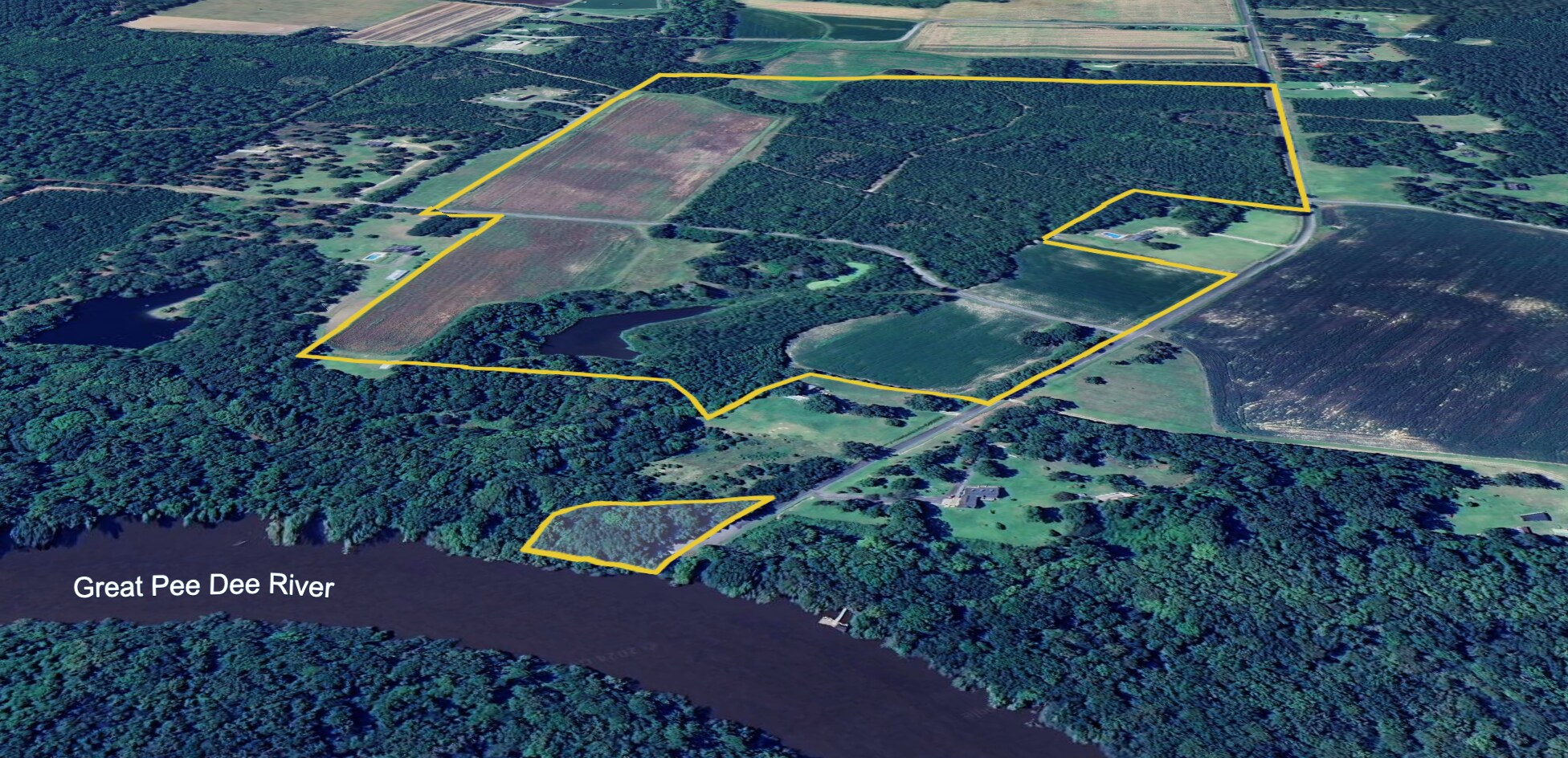 1298 Ports Hill Dr, Hemingway, SC à vendre Aérien- Image 1 de 4